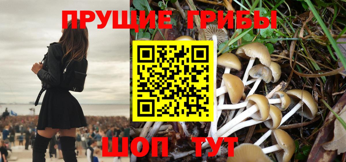 Владикавказ  Галлюциногенные грибы Psilocybine cubensis  Вход с VPN 